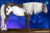 Horse Color:Liver Chestnut Frame 