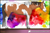 Horse Color:Bay Splash Tobiano Blanket  and Bay Splash Tobiano Blanket 