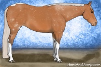Horse Color:Silver Bay Tobiano Snowcap 