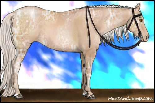 Horse Color: Silver Black Ice Pearl 