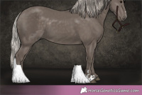 Horse Color:Silver Black 