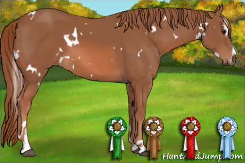 Horse Color: White Spotted Liver Chestnut Sabino 