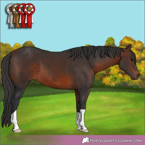 Horse Color:Brown 