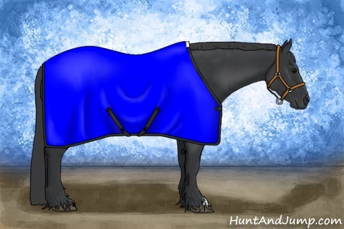 Horse Color: Black 