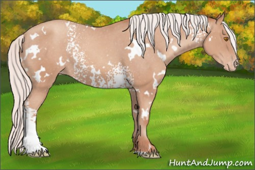 Horse Color: White Spotted Silver Sable Champagne Varnish 