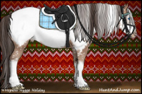 Horse Color:Sable Champagne Frame Appaloosa 