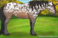 Horse Color:Brown Ice 