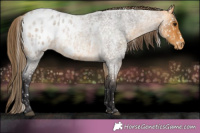 Horse Color:Buckskin Roan Blanket 