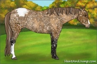 Horse Color:Buckskin Ice Snowcap Rabicano 
