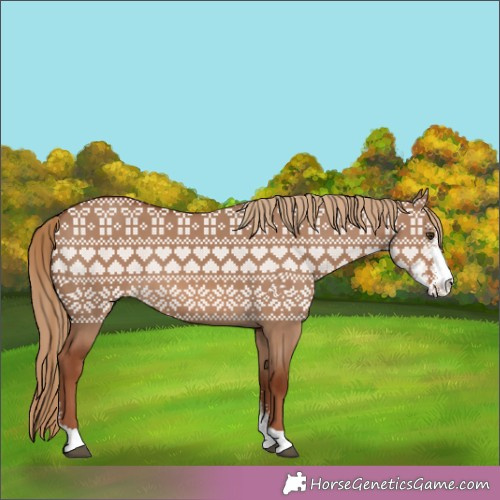 Horse Color: Red Dun Sabino 