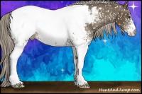 Horse Color:White Spotted Chocolate Palomino Snowcap 