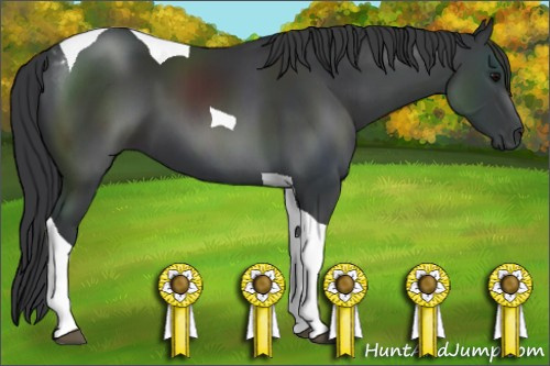 Horse Color: Black Tobiano 