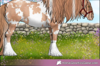 Horse Color:White Spotted Gold Champagne Blanket 