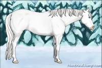 Horse Color:White Spotted Perlino Dun Splash 