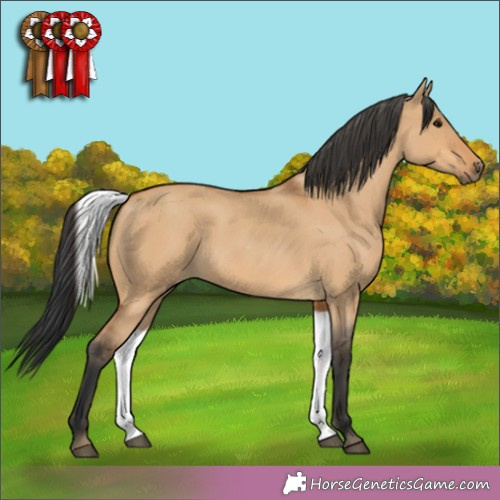 Horse Color: Bay Roan Dun 