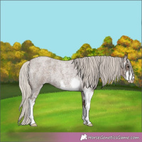 Horse Color:Silver Blue Roan Sabino 