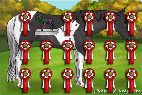 Horse Color: Smoky Black Tobiano 
