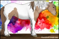 Horse Color:Black Pearl Tobiano 