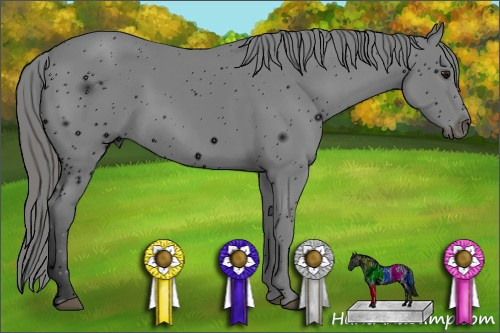 Horse Color: ERROR: UNKNOWN ANOMALY