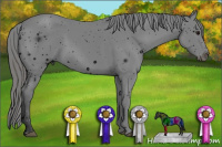 Horse Color:ERROR: UNKNOWN ANOMALY