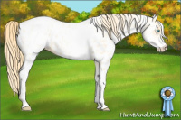 Horse Color:White Spotted Buckskin Pearl Dun Blanket 