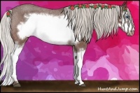 Horse Color:Silver Bay Roan Splash Frame Varnish Rabicano 