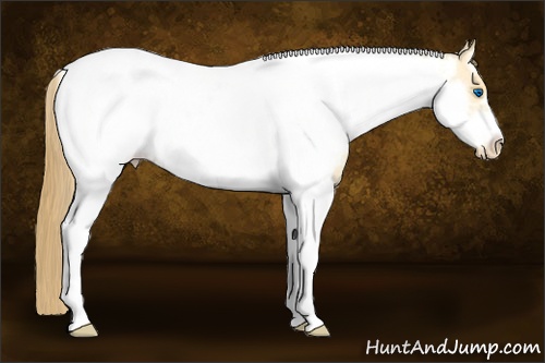 Horse Color: Amber Cream Champagne Dun Splash Tobiano Frame Near Fewspot 