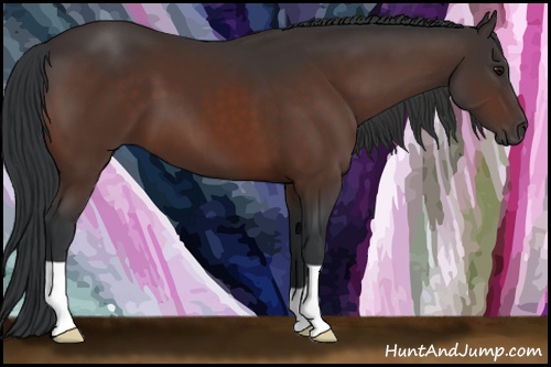 Horse Color: Bay 