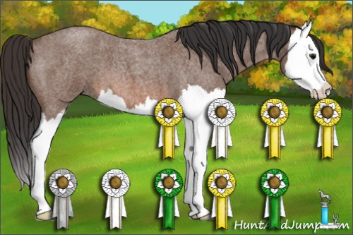Horse Color: Bay Roan Splash 