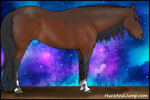 Horse Color: Brown Sabino 