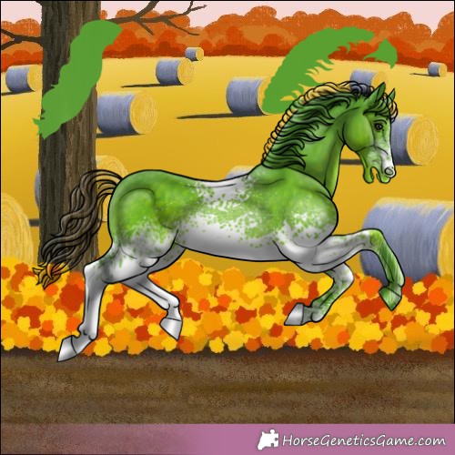Horse Color:Watercolor White Spotted Liver Chestnut 