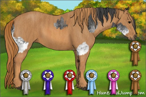 Horse Color: White Spotted Blue Roan Rabicano  Brindle