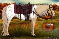 Horse Color:Palomino Roan Blanket 