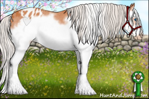 Horse Color: Silver Bay Splash Frame Blanket 