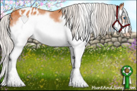 Horse Color:Silver Bay Splash Frame Appaloosa 