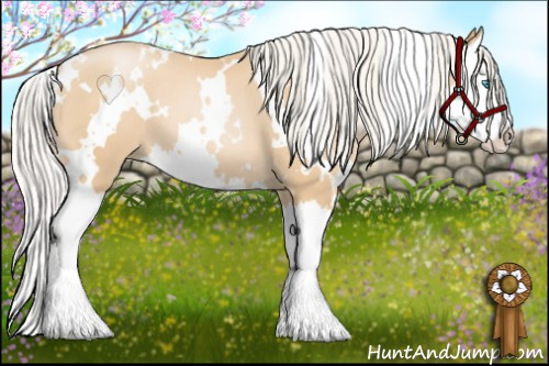 Horse Color: White Spotted Silver Smoky Black Pearl Splash 