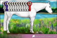 Horse Color:Silver Black Sabino 