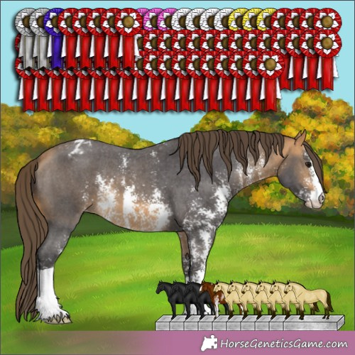 Horse Color: Buckskin Sabino Snowcap 