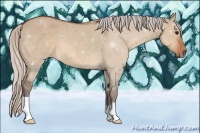Horse Color:Silver Brown Dun