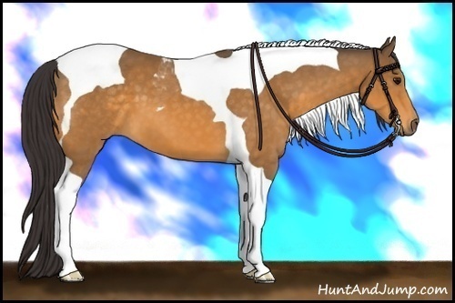Horse Color: Buckskin Tobiano 