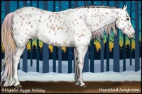 Horse Color:Nacre Chestnut Appaloosa