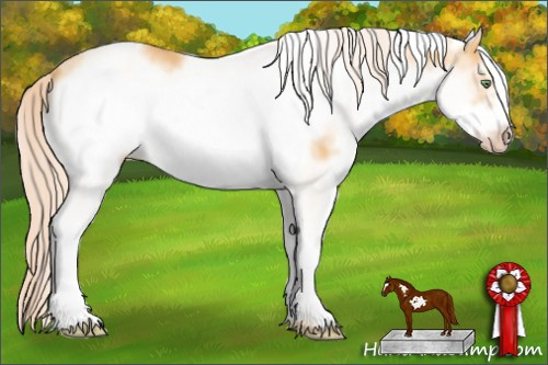 Horse Color: White Spotted Gold Cream Champagne Frame 