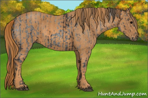 Horse Color: White Spotted Blue Roan Rabicano  Brindle