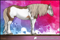 Horse Color:Chocolate Palomino Splash Frame