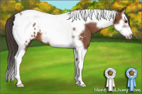 Horse Color:Bay Splash Tobiano Frame Blanket 