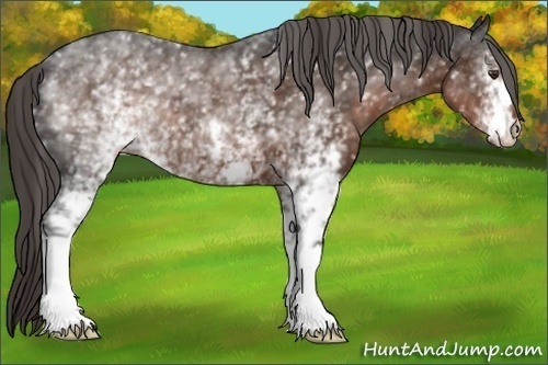 Horse Color: White Spotted Liver Chestnut 