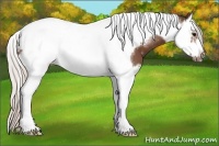 Horse Color:Silver Brown Splash Tobiano Frame 