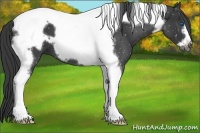 Horse Color:Black Tobiano Frame 