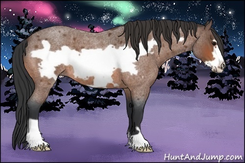 Horse Color: Bay Roan Frame 