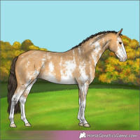 Horse Color:Buckskin Sabino 